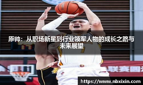 原帅：从职场新星到行业领军人物的成长之路与未来展望